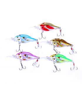 LENPABY 5PCS Fishing Lures Large Hard Bait Minnow VIB Lure Topwater Lures  Group Fish Minnow Plastic Fishing Bait for Bass Trout Freshwater and Saltwater 6G 6.5CM